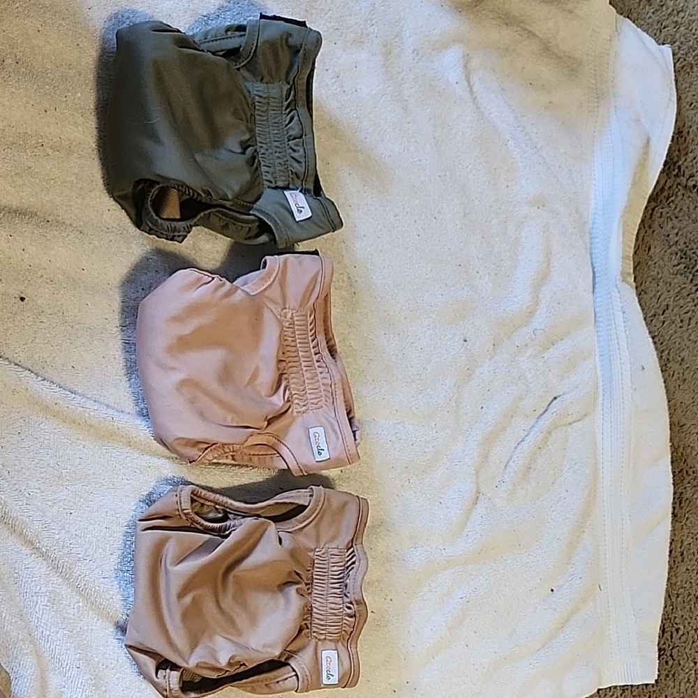Green and Pink Dog Clothing Set